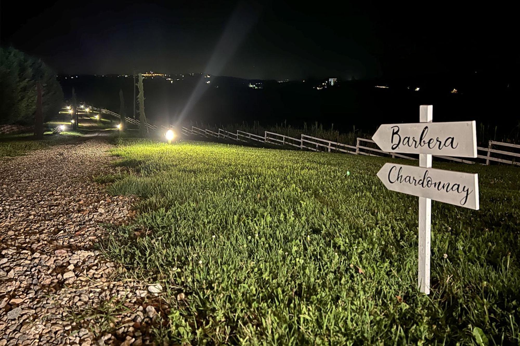 Notte Nella Botte Hotel Vignale Monferrato ภายนอก รูปภาพ