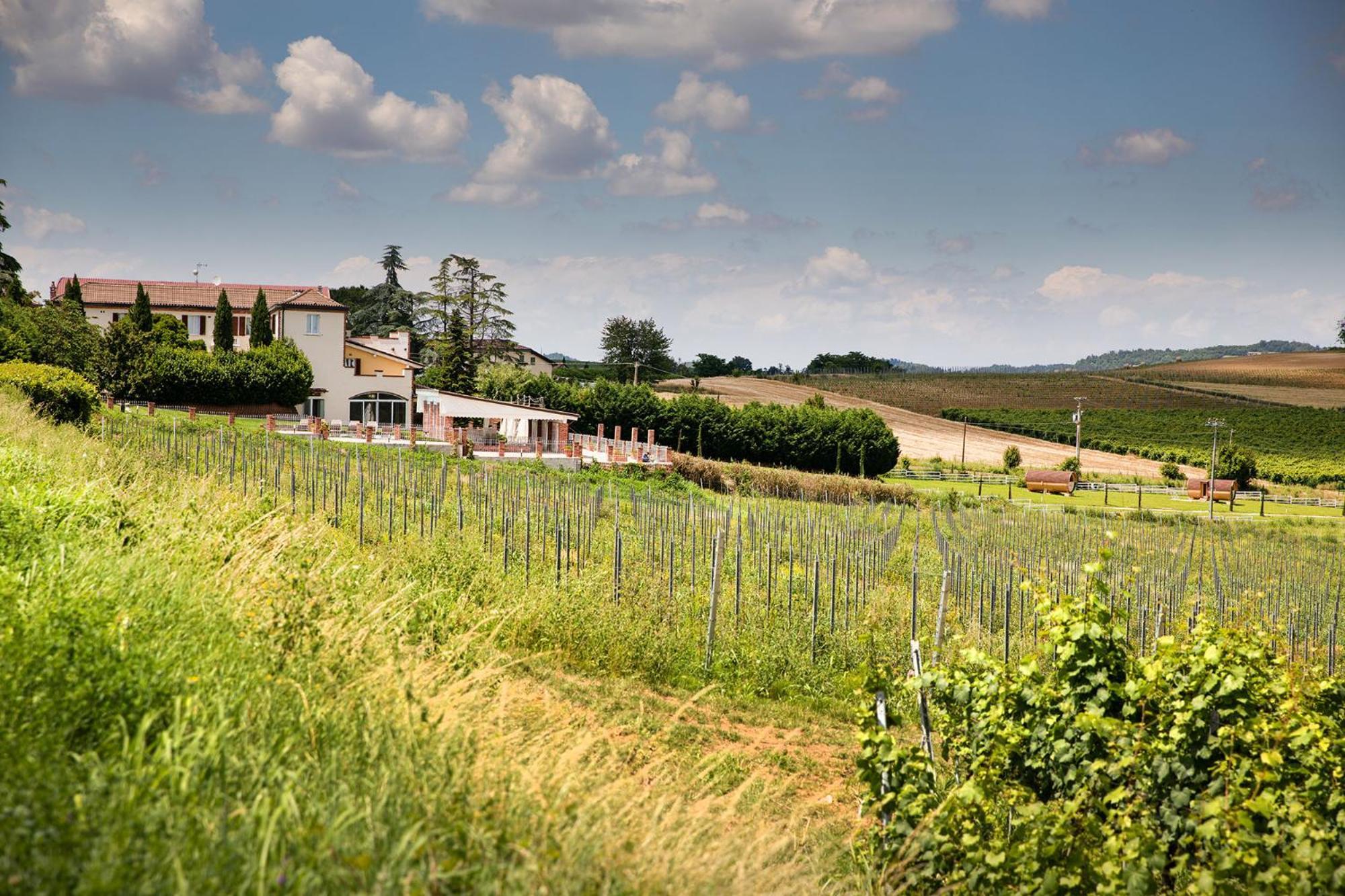 Notte Nella Botte Hotel Vignale Monferrato ภายนอก รูปภาพ